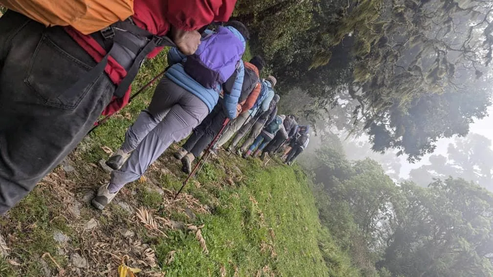 Mount Kilimanjaro trekking landscape